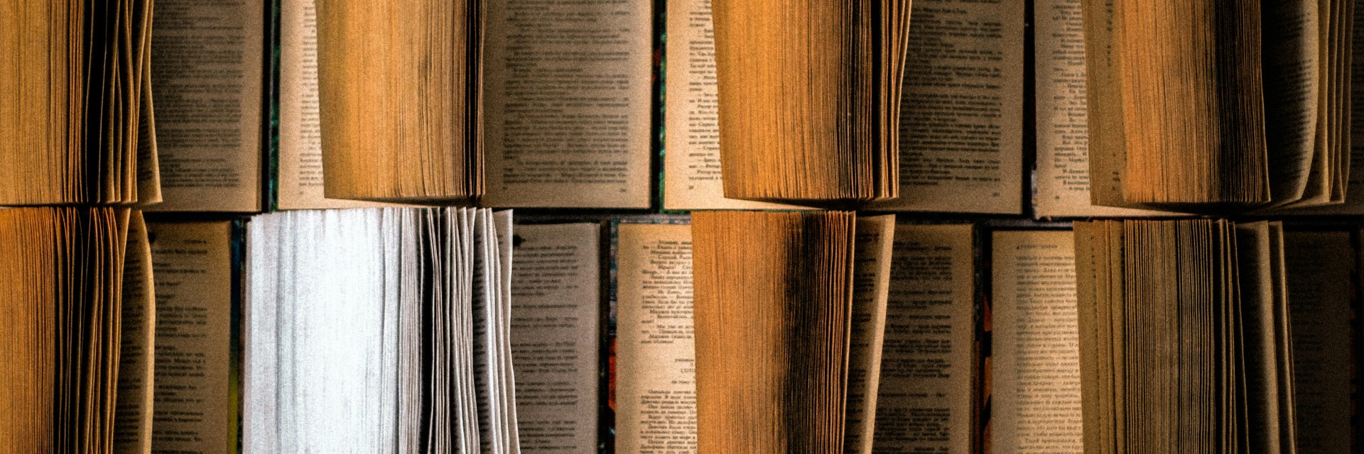 Fondo de libros